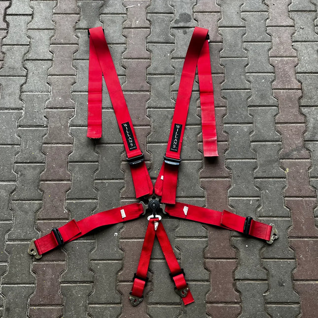 WILLANS 6-Point Harness
